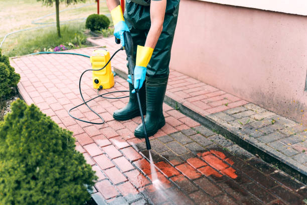 Best Sidewalk and Walkway Cleaning  in Clinton, WI